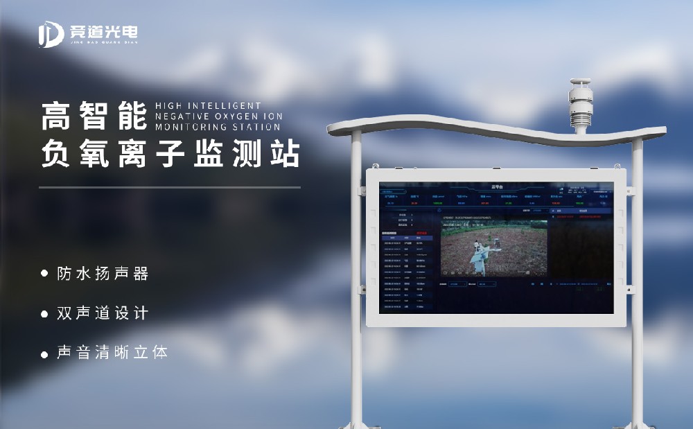 Ӱ�츺�����Ӽ��ϵͳ��⾫�ȵĳɷ�����Щ