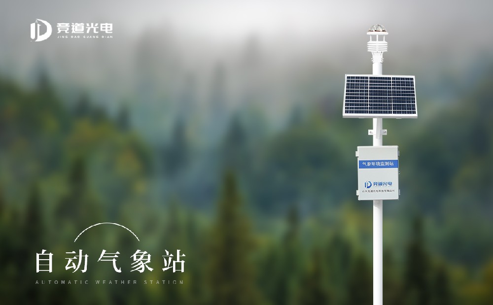 ����������վ�����������