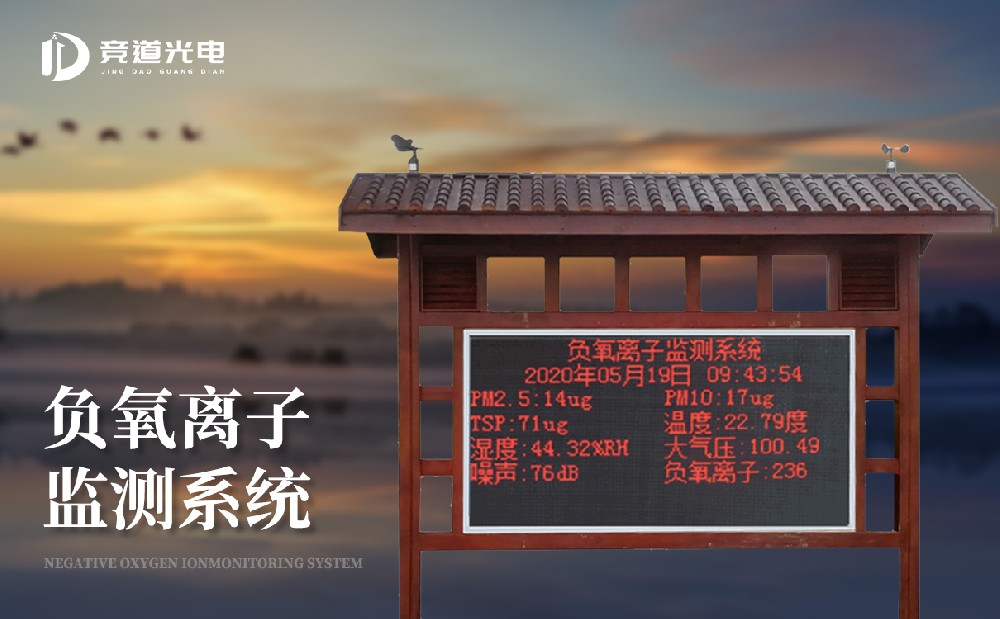 ¸ºÀë×Ó¼à²âϵͳ ¸ºÀë×Ó¼à²âϵͳ