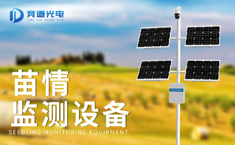 ũ����������վ�о���������ʲô