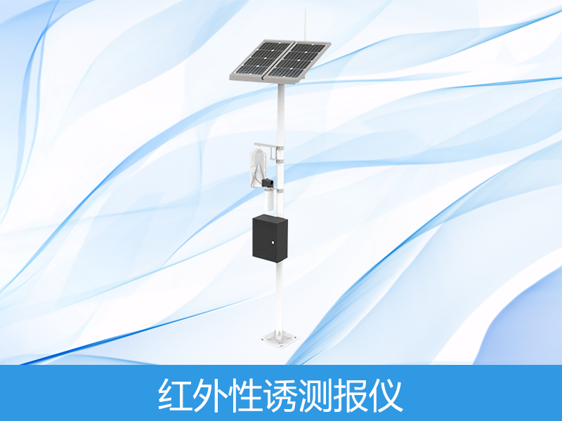  ������ղⱨ��