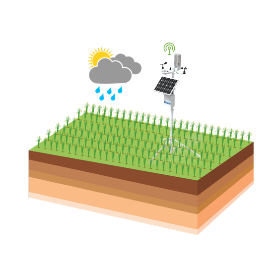 304am�������š�(�й�)���޹�˾����