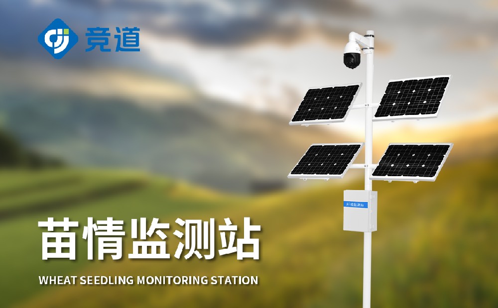 ������վԶ�̰����������ɳ����