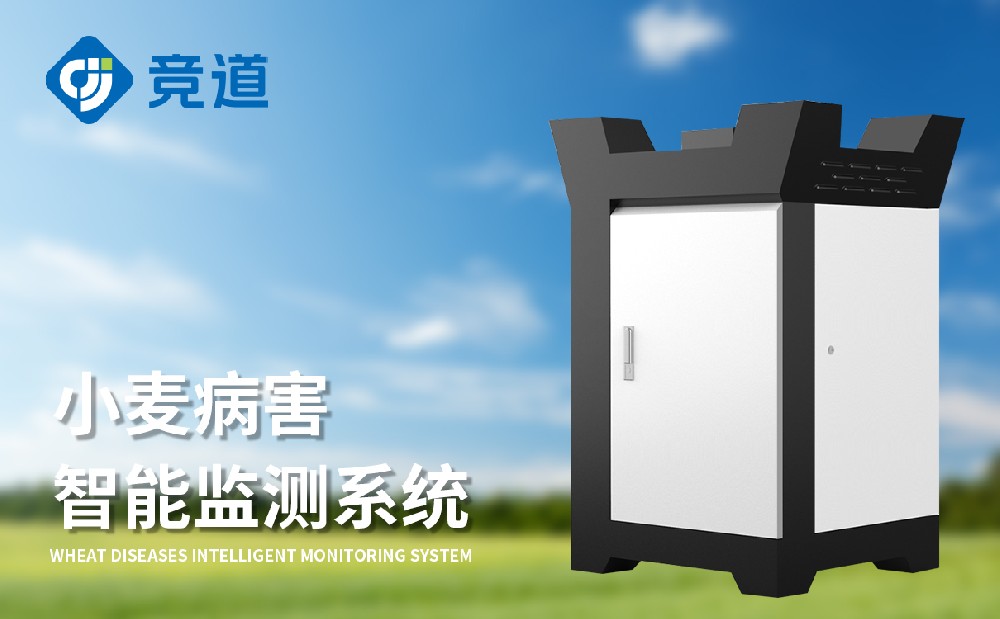 �����ù�������