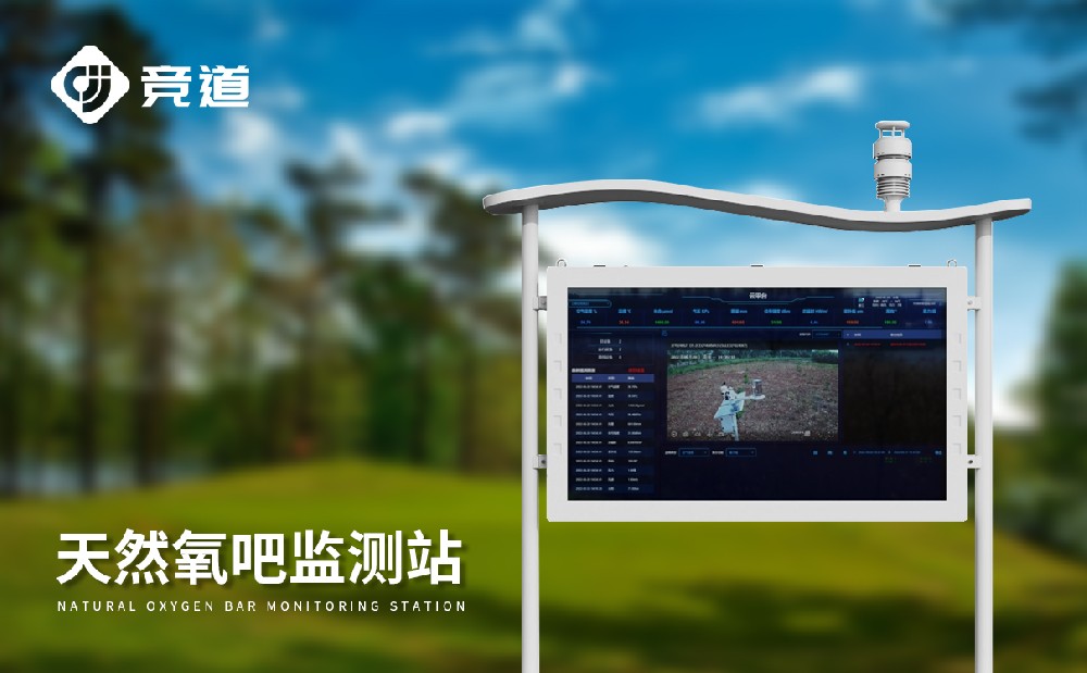 �������Ӽ��վ