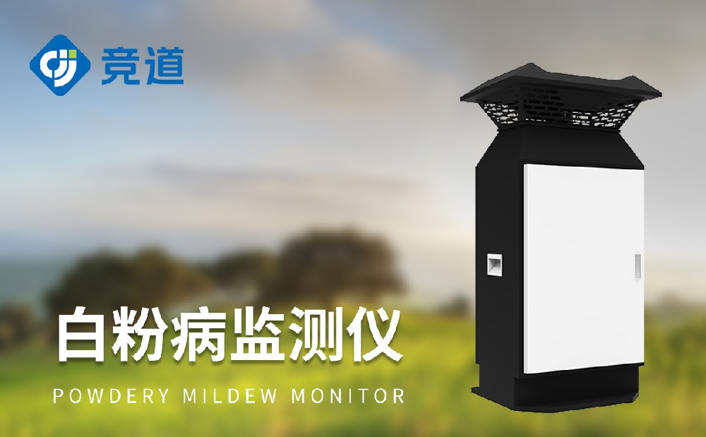 �׷۲������