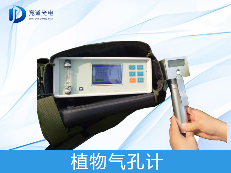 ֲ�����׼���ʲô��