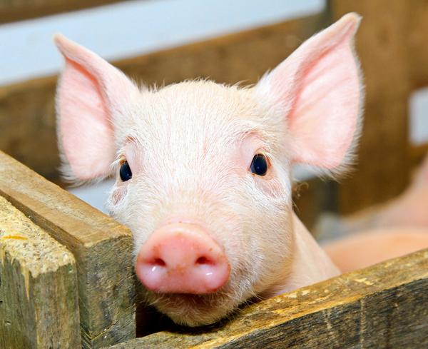 �����������������Щ�ͺ���