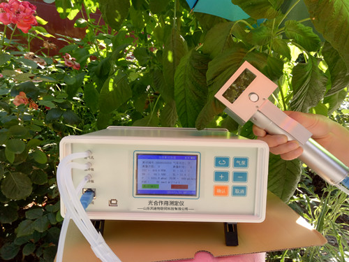 ֲ���������к�������