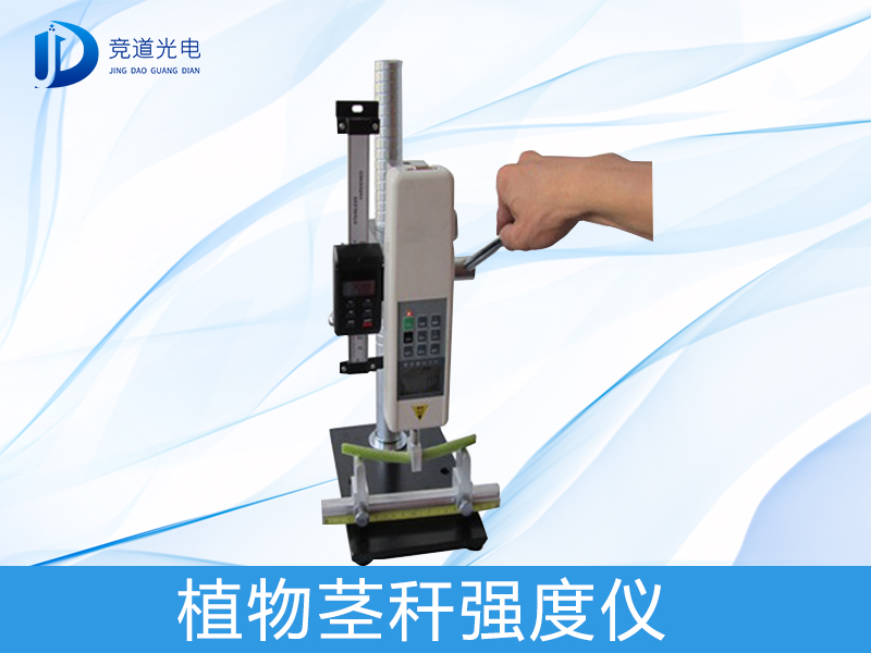 Ϊʲô����ֲ�ﾥ��ǿ����