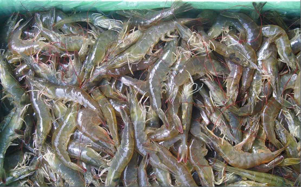 ˮ��Ʒ��������豸���ܺͲ���ע��