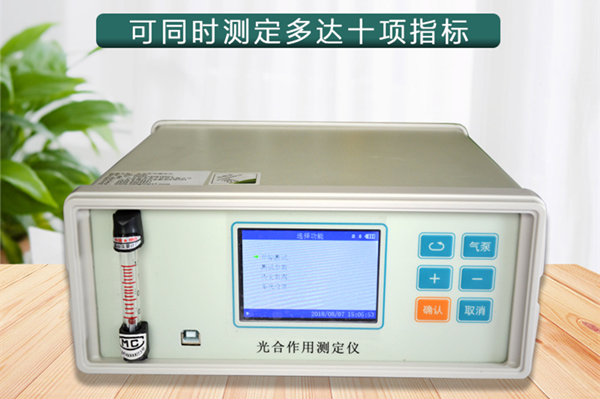 ����Ƿ���Ҷ�����ڹ�������е�����