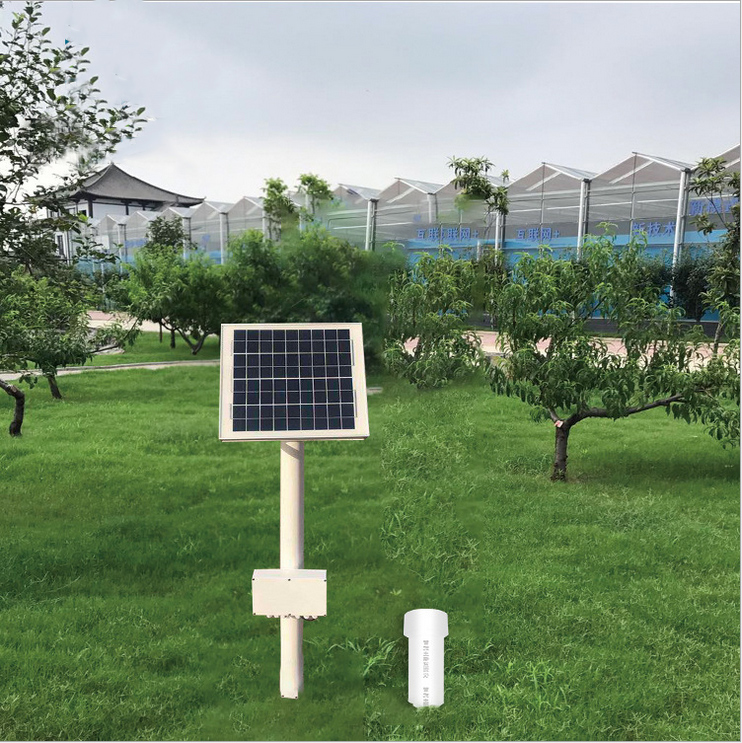 ��ʽ���������������������