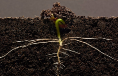 ΪʲôҪ���������л��ʼ����