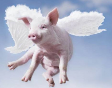  ���������׻������÷��������ļ�⹤����